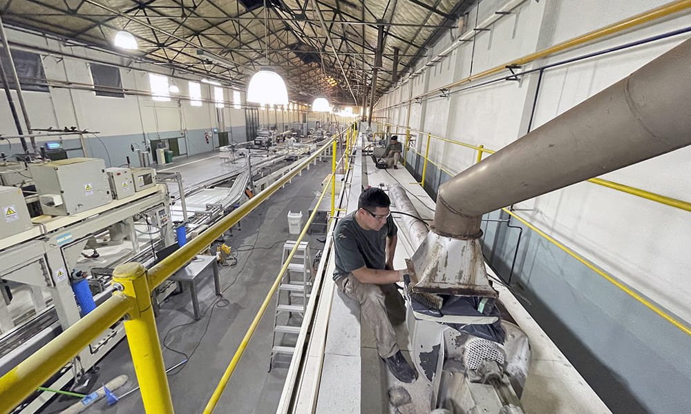 Eco-Assist | Limpieza de Chimeneas