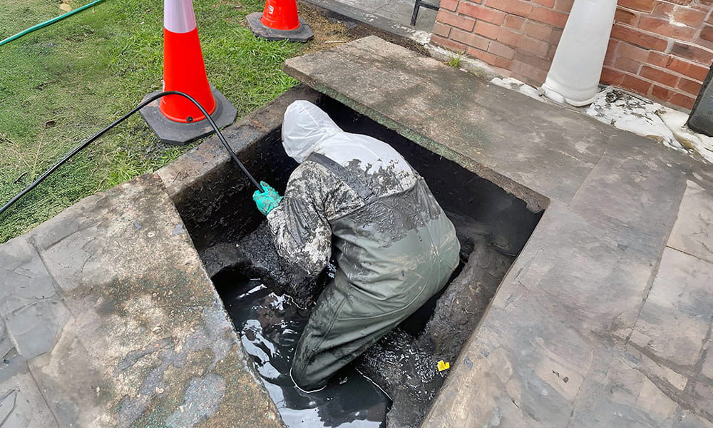 Eco-Assist | Limpiezas Técnicas