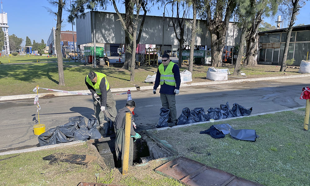 Eco-Assist | Limpiezas Técnicas